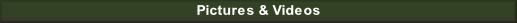 wp91b335a1.png